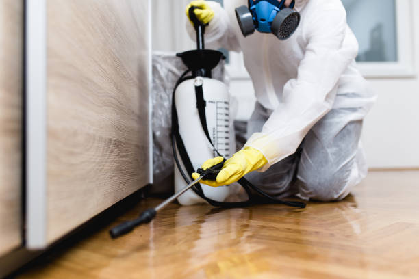 Best Pest Control for Homes  in Rockford, MI