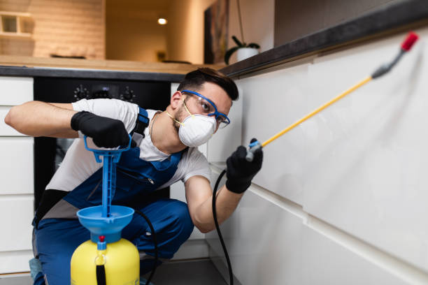 Best Cockroach Control Services  in Rockford, MI