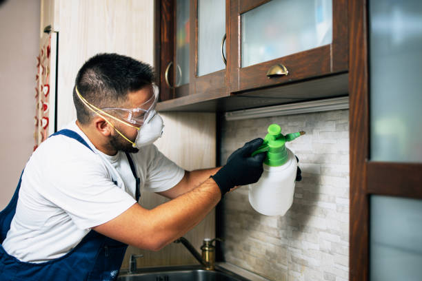 Trusted Rockford, MI Pest Control Experts