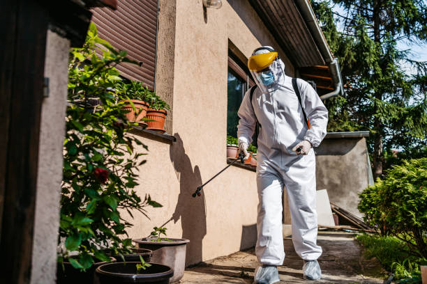Best Pest Inspection Near Me  in Rockford, MI