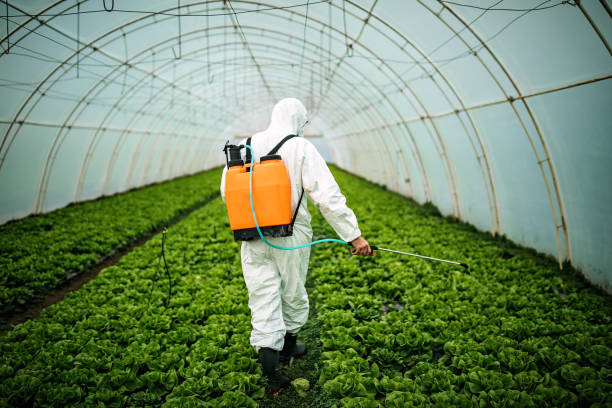 Best Best Pest Control Companies  in Rockford, MI