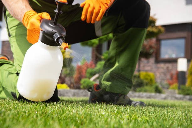 Best Pest Control Near Me  in Rockford, MI