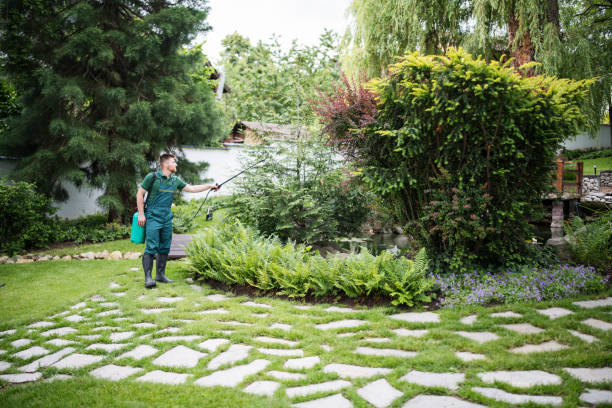 Best Pest Control Near Me in Rockford, MI