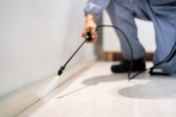Best Exterminator Services  in Rockford, MI
