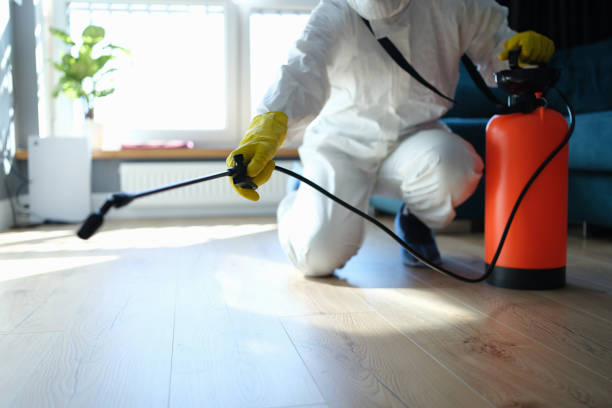 Best Local Pest Control Services  in Rockford, MI