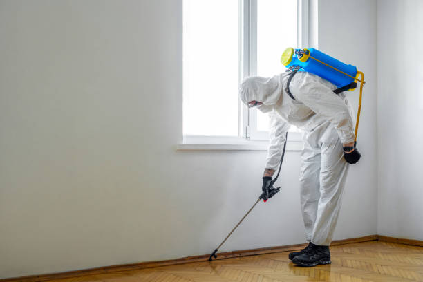 Best Rat Extermination Near Me  in Rockford, MI