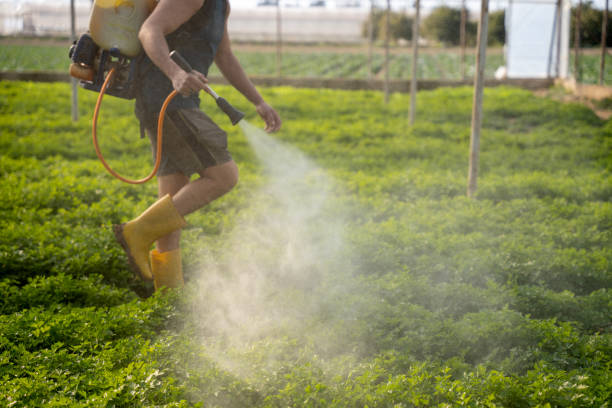 Best Pest Control Treatment  in Rockford, MI