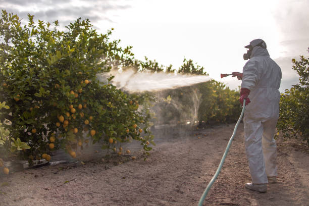 Flea Control Services in Rockford, MI
