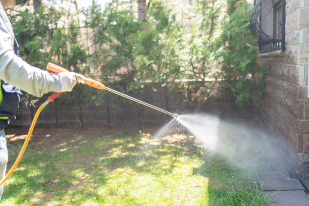Best Spider Control Near Me  in Rockford, MI
