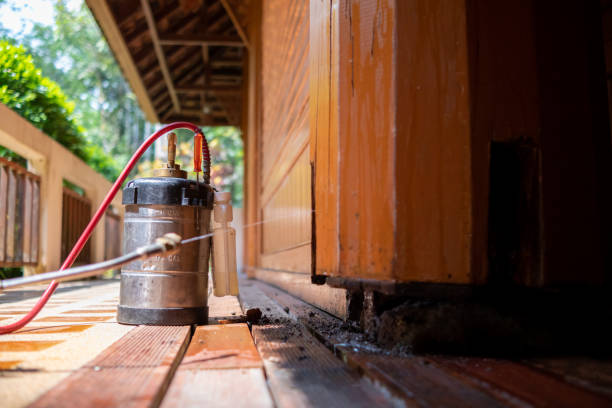Pest Control Cost in Rockford, MI