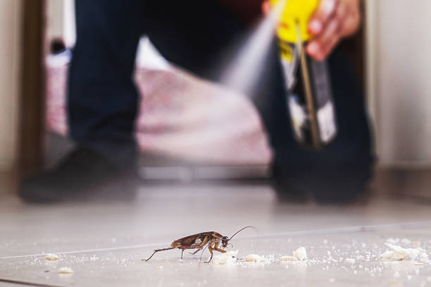 Best Best Pest Control Companies  in Rockford, MI