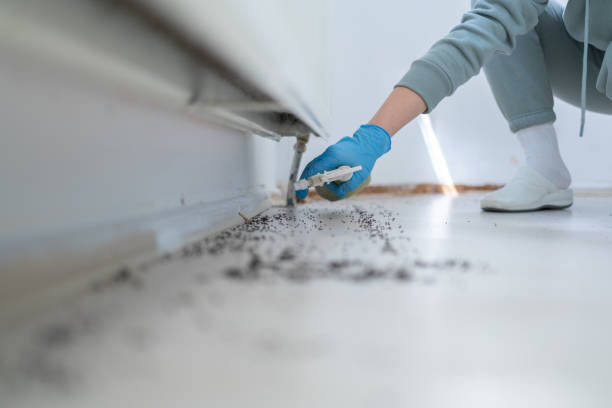 Best Cockroach Control Services  in Rockford, MI