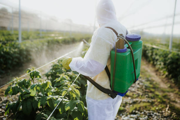 Pest Prevention Services in Rockford, MI
